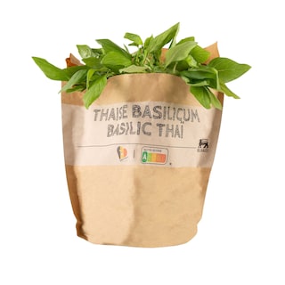 Delhaize | BIO | Bio | Basilicum | Thai 