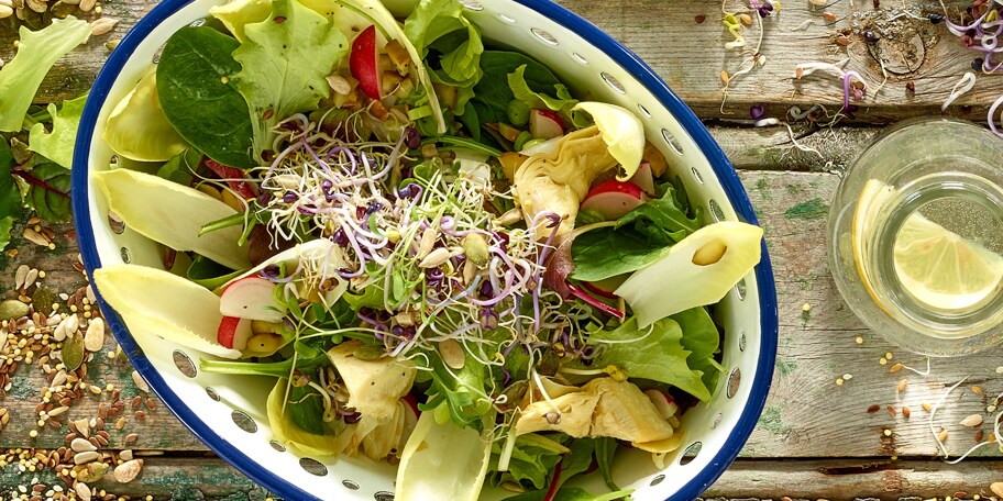 Salade van luzerne en witloof