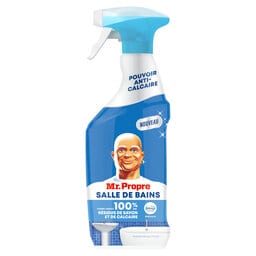 Spray | Bathroom | 500ml