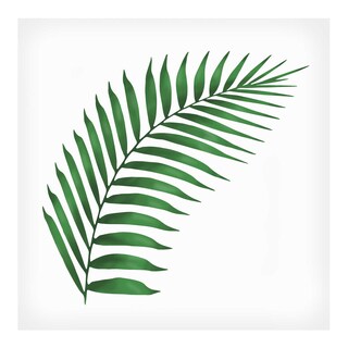 Happy Paper | Serviettes | Areca Green |  40cm 