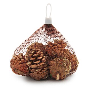 Delhaize | Home | 12 pommes de pin dans sac 