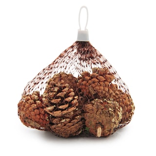 Delhaize | Home | 12 pommes de pin dans sac 