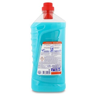 Ajax | Nettoyant | Multi-surfaces | Eucalyptus 