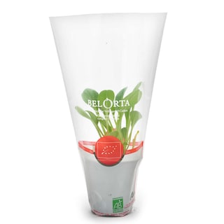 Delhaize | Bio | BIO | oeSTERBLAD 