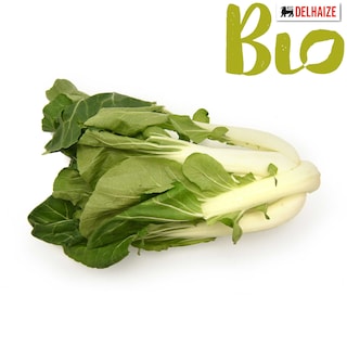 Delhaize | Bio | Paksoy | Bio 