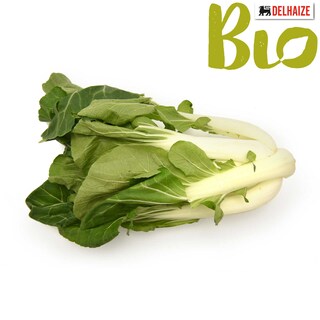 Delhaize | Bio | Paksoy | Bio 