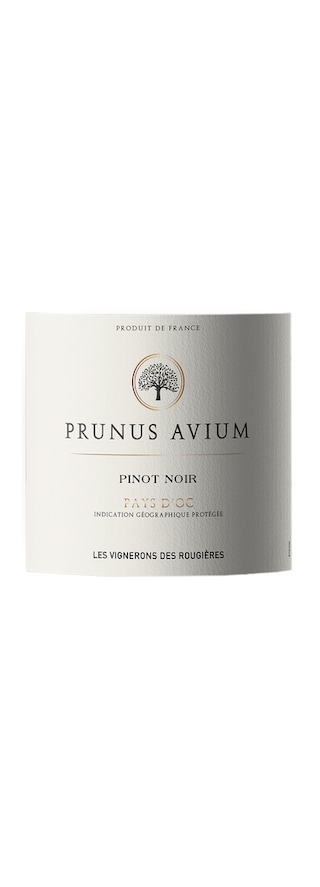 Prunus Avium