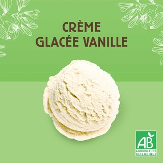 Carte d'Or | Roomijs | Vanille 