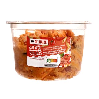 Delhaize | Sunny penne tandoori 