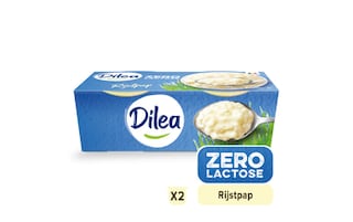Dilea | Riz au lait | Sans lactose 