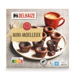 Mini | Moelleux | Au | Chocolat | 9P