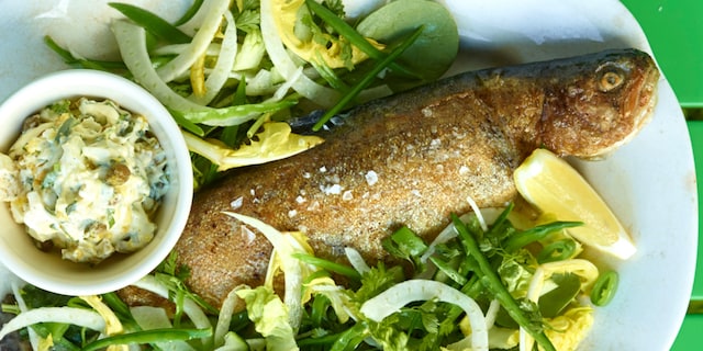 Forel met tartaar van zuring en salade