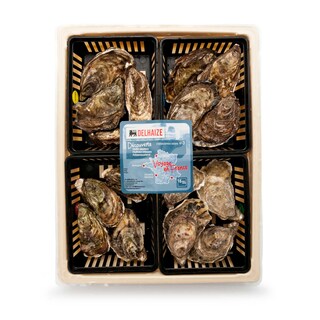 Delhaize | 4X4 Huitres creuses | Voyage en France 