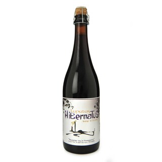 Lupulus | Hibernatus | Winterbier | 9,5% | Fles 