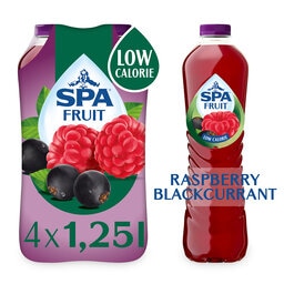 Limonade | Niet Bruisend | Raspberry-Blackcurrant | PET