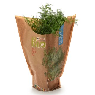 Delhaize | Bio | Aneth | Pot | Bio 