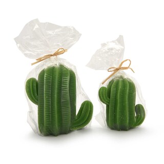 Delhaize | Bougie Cactus 