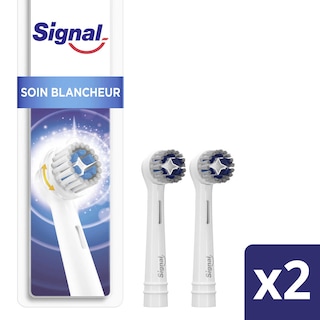 Signal | Tandenborstel | White now | Medium 