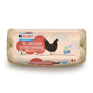 Delhaize | oeufs plein air | Medium | 10+2 gratuits 