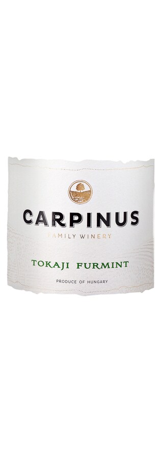 Carpinus