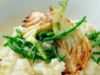 Risotto au fenouil et à la salicorne