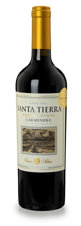 CHILI - COLCHAGUA VALLEY | Colchagua Valley | Santa Tierra Gran Cru Andes Carmenere 13 