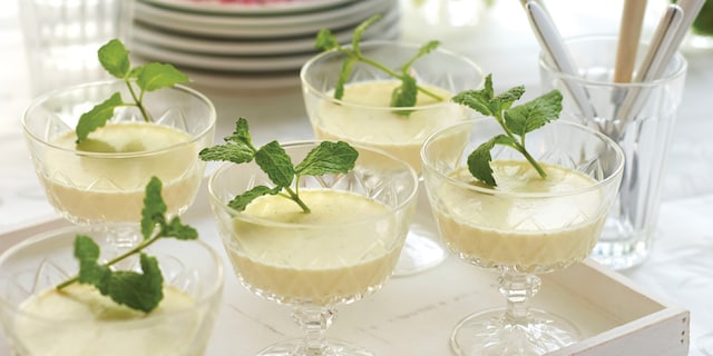 Panna Cotta met munt