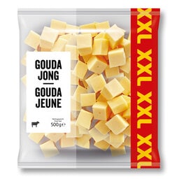 Gouda | Jong | Blokjes