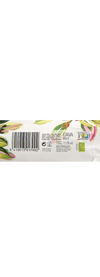 Codorníu | Cava Anna Brut | Bio 