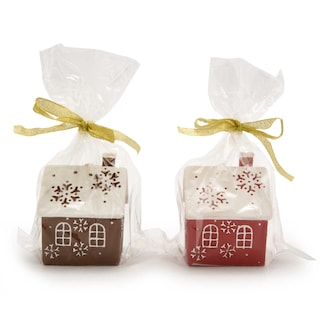 Delhaize | Kaars | huis & sneeuw 