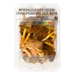 Champignons | Bosmengeling