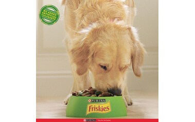 Friskies