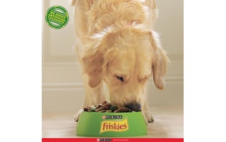 Friskies