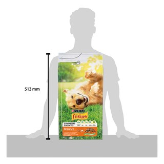 Friskies | Aliment chien | Croquettes | Adult | Poulet 