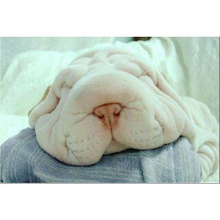 YAVNE | CORNICHONS AU SEL 