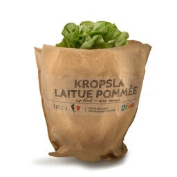 Delhaize | Kropsla | Kluit 