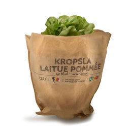 Kropsla | Kluit