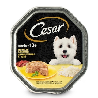 Cesar | Hondenvoeding | Gelei | Senior | Kip 