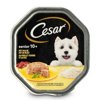 Cesar | Hondenvoeding | Gelei | Senior | Kip 