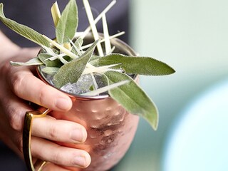 Garden tonic
