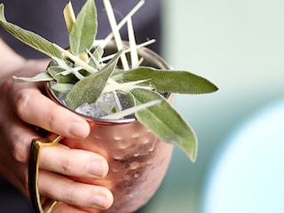 Garden tonic