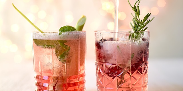 Cranberries Tonic Mocktail