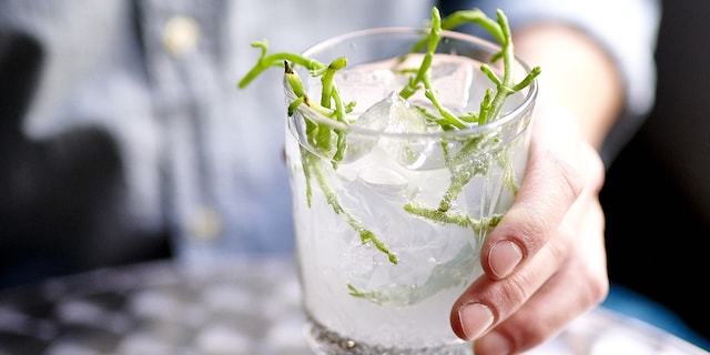 Roku Tonic