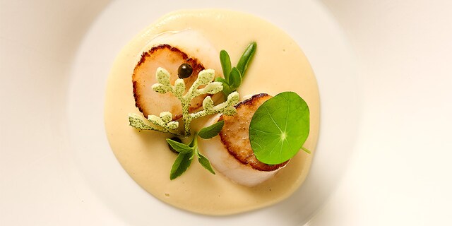 Noix de Saint-Jacques avec mousseline de panais au lait de coco, coriandre et poivre vert d'Yves Mattagne