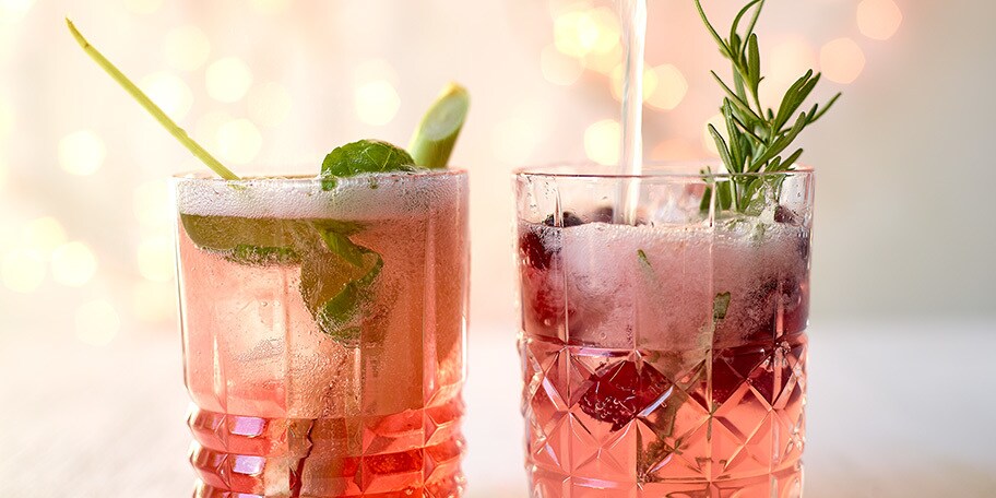 Cranberries Tonic Mocktail