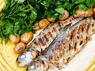 Truites et grenailles grillées, sauce au tahini et salade d’herbes