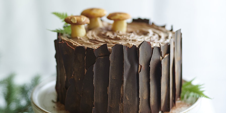 Bûche-souche d’arbre au chocolat et  à la mousse chocolat-noisettes