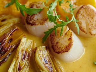 Noix de Saint-Jacques snackées aux chicons, beurre blanc aux agrumes