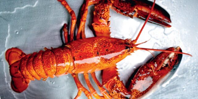 3 idées de sauces pour l’accompagner le homard