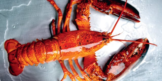 3 idées de sauces pour l’accompagner le homard